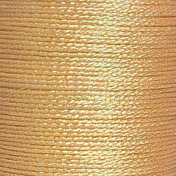 MSC506.jpg